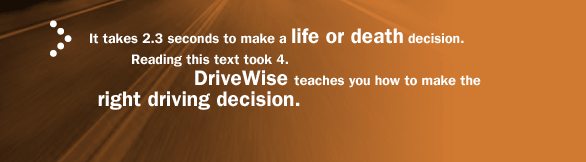drivewisepic8